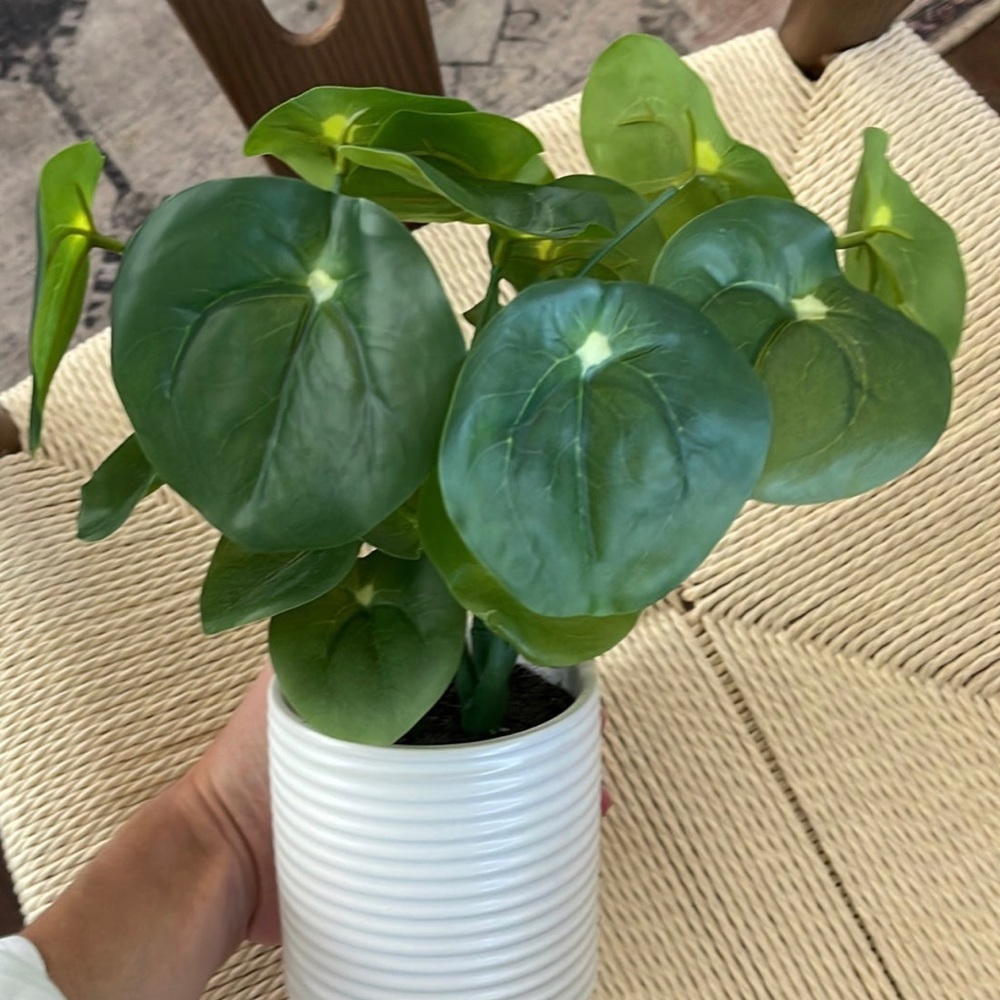 Faux Plant